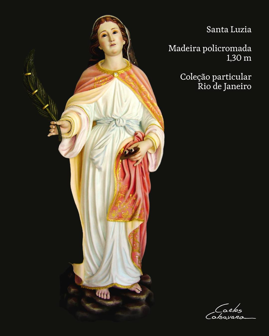 carloscalsavara_1767103173163